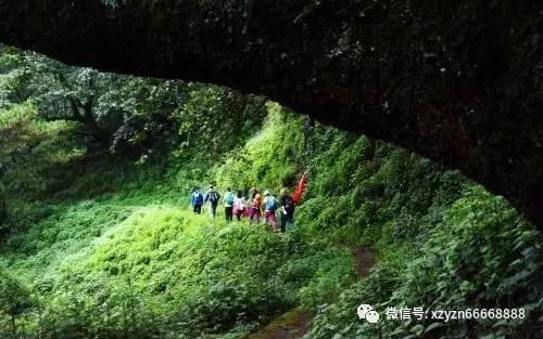 山西焦化:2023年第四季度焦炭销售收入环比增长15.04%