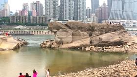 昭通市政协主席申琼：理顺体制机制推动生物医药产业发展