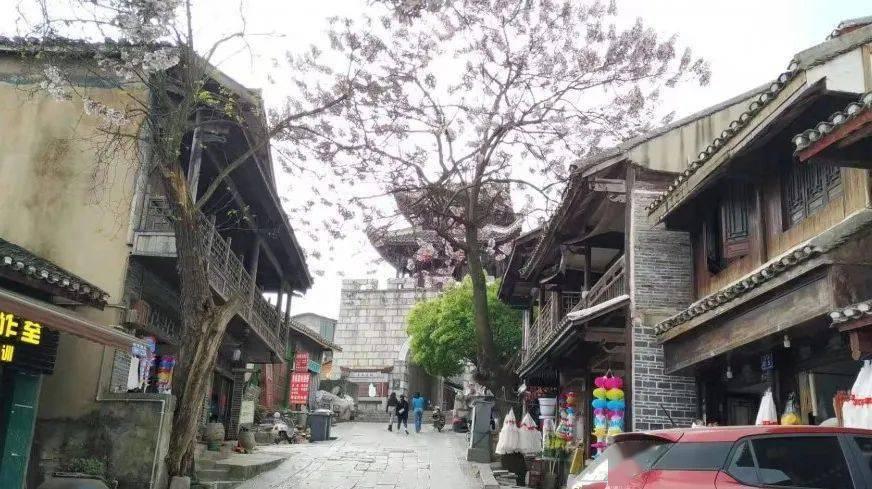 从屋村女孩到三料视后，身家上亿的佘诗曼，到底有多爽？
